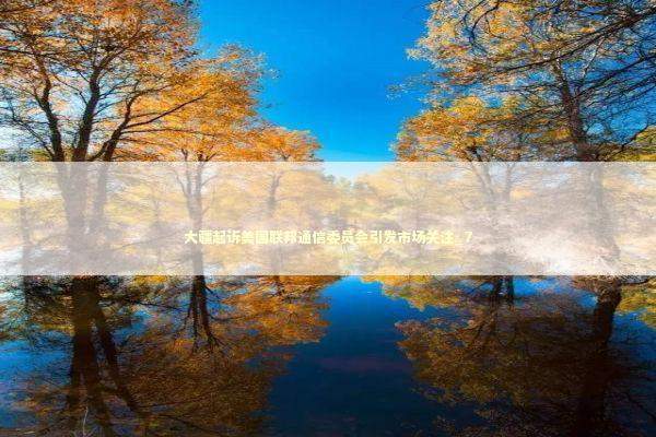 大疆起诉美国联邦通信委员会引发市场关注_7