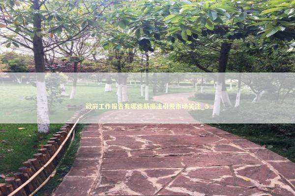 政府工作报告有哪些新提法引发市场关注_5