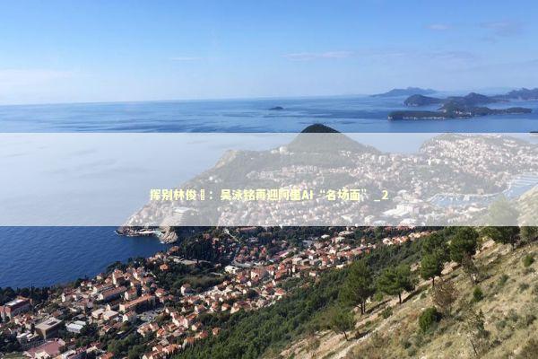 挥别林俊旸：吴泳铭再迎阿里AI“名场面”_2