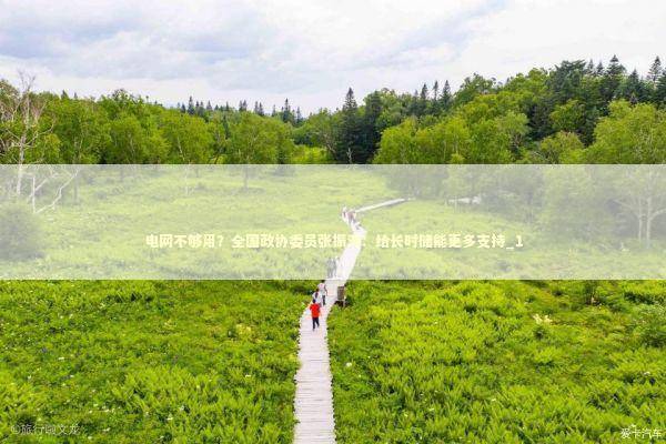 电网不够用？全国政协委员张振涛：给长时储能更多支持_1