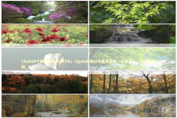 ChatGPT卸载量飙升295%！OpenAI承认与美军签约“太草率”，紧急改合同_2