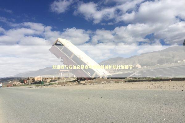 航运商与石油交易商寻求特朗普护航计划细节