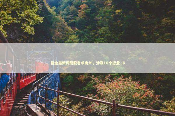 基金最新调研股名单出炉，涉及10个行业_6