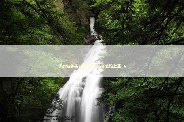 华尔街多头仍押注2026年美股上涨_6