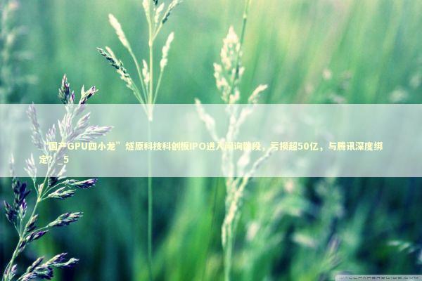 “国产GPU四小龙”燧原科技科创板IPO进入问询阶段，亏损超50亿，与腾讯深度绑定？_5