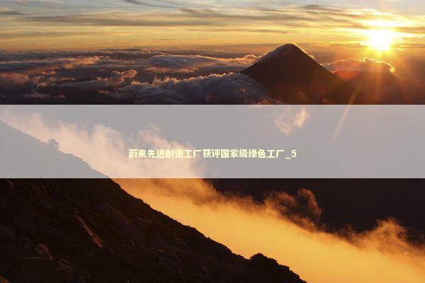 蔚来先进制造工厂获评国家级绿色工厂_5