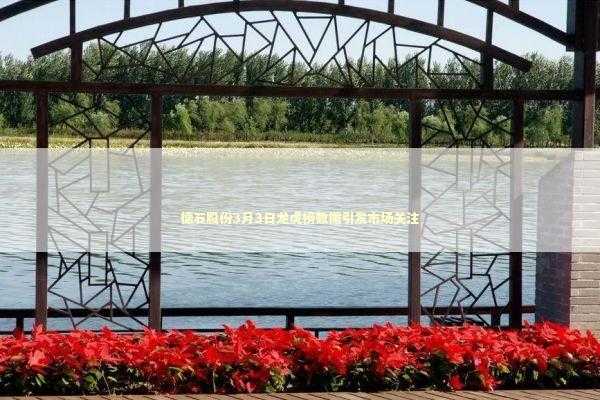 德石股份3月3日龙虎榜数据引发市场关注