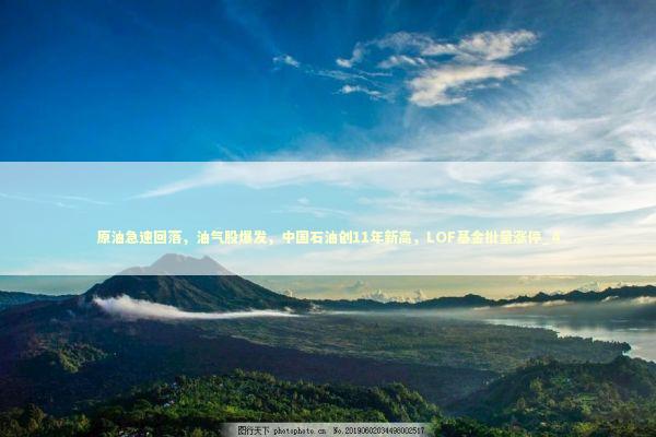 原油急速回落，油气股爆发，中国石油创11年新高，LOF基金批量涨停_4