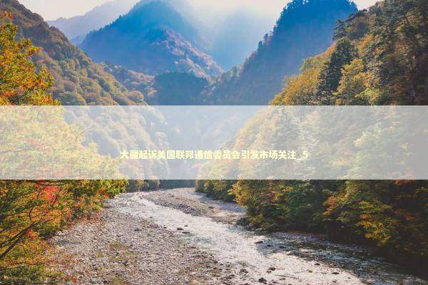 大疆起诉美国联邦通信委员会引发市场关注_5