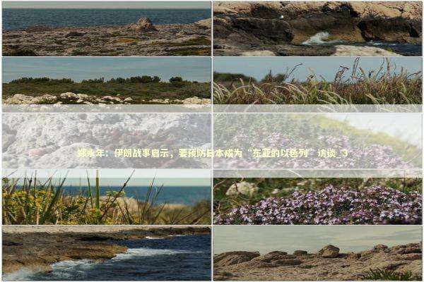 郑永年：伊朗战事启示，要预防日本成为“东亚的以色列”访谈_3