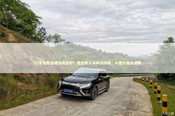 52家鲁股业绩快报出炉！营业收入净利润双增，AI算力龙头领跑