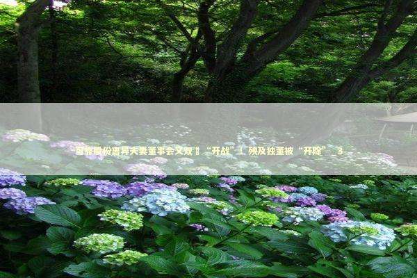 可靠股份离异夫妻董事会又双叒“开战”！殃及独董被“开除”_3