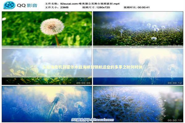 从红海危机到霍尔木兹海峡封锁航运业的多事之秋何时休