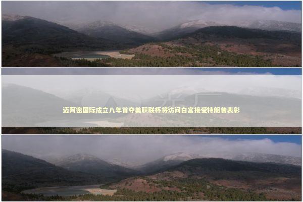 迈阿密国际成立八年首夺美职联杯将访问白宫接受特朗普表彰