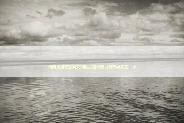 海泰发展被立案受损股民速索赔引发市场关注_14