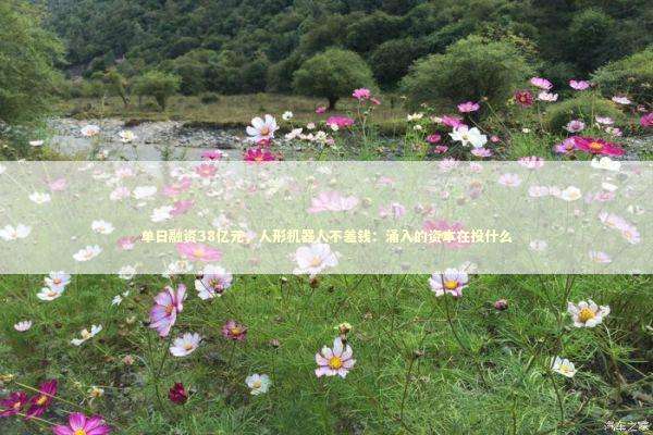 单日融资38亿元，人形机器人不差钱：涌入的资本在投什么