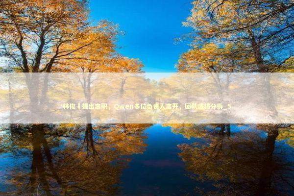 林俊旸提出离职，Qwen多位负责人离开，团队或将分拆_5