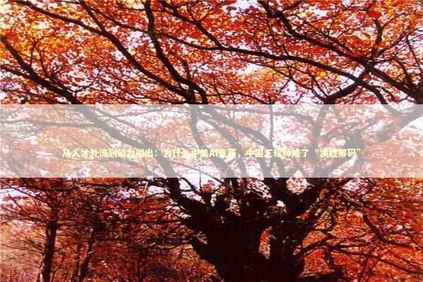 从人才外流到能力溢出：为什么中美AI竞赛，中国工程师成了“决胜筹码”