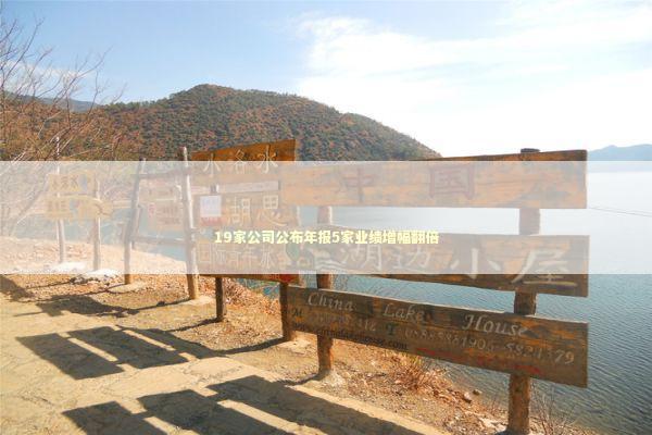 19家公司公布年报5家业绩增幅翻倍