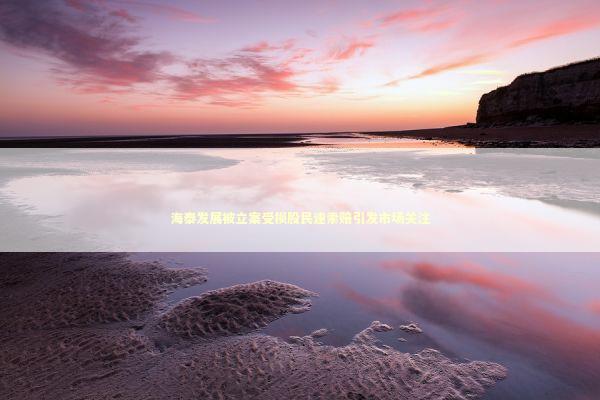 海泰发展被立案受损股民速索赔引发市场关注