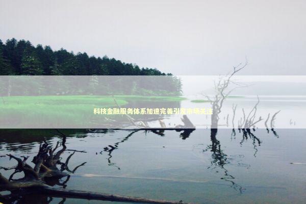 科技金融服务体系加速完善引发市场关注