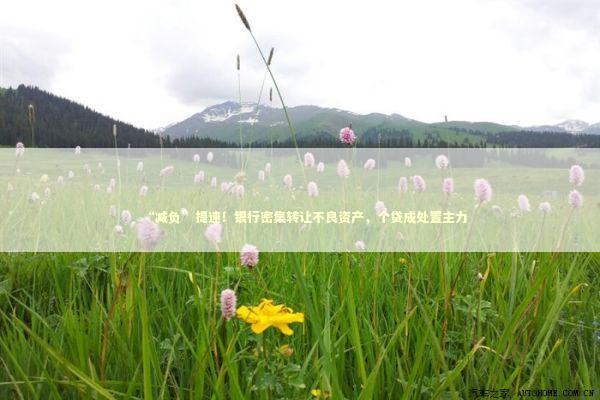 “减负”提速！银行密集转让不良资产，个贷成处置主力