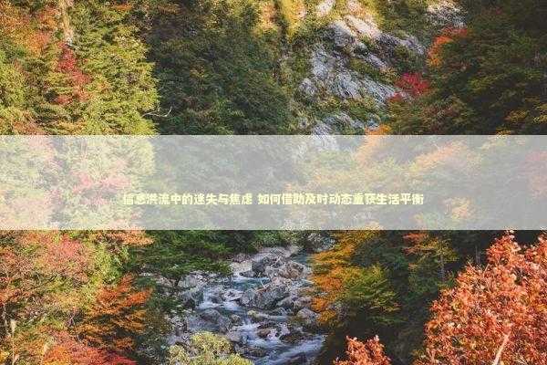 信息洪流中的迷失与焦虑 如何借助及时动态重获生活平衡 新闻