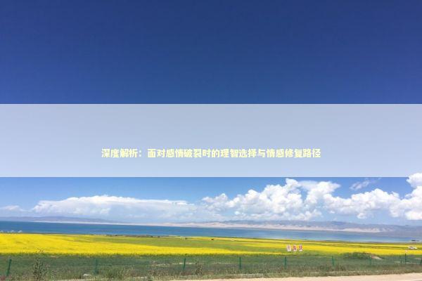深度解析：面对感情破裂时的理智选择与情感修复路径