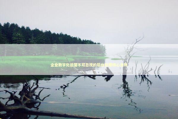 企业数字化运营不可忽视的后台管理核心法则