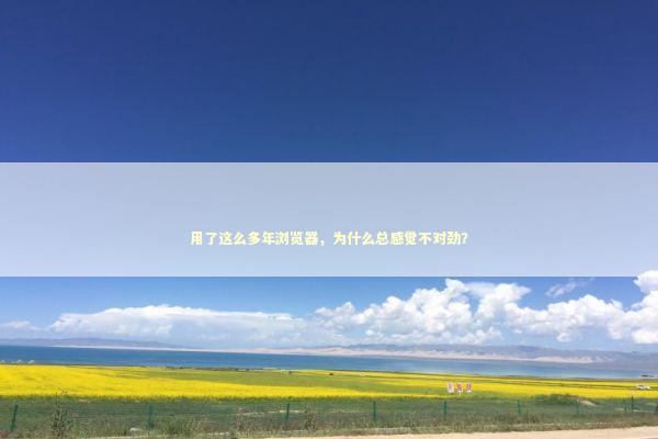 用了这么多年浏览器，为什么总感觉不对劲？