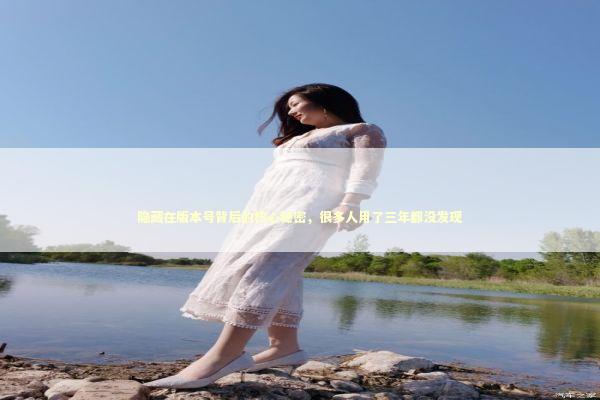 隐藏在版本号背后的核心秘密，很多人用了三年都没发现